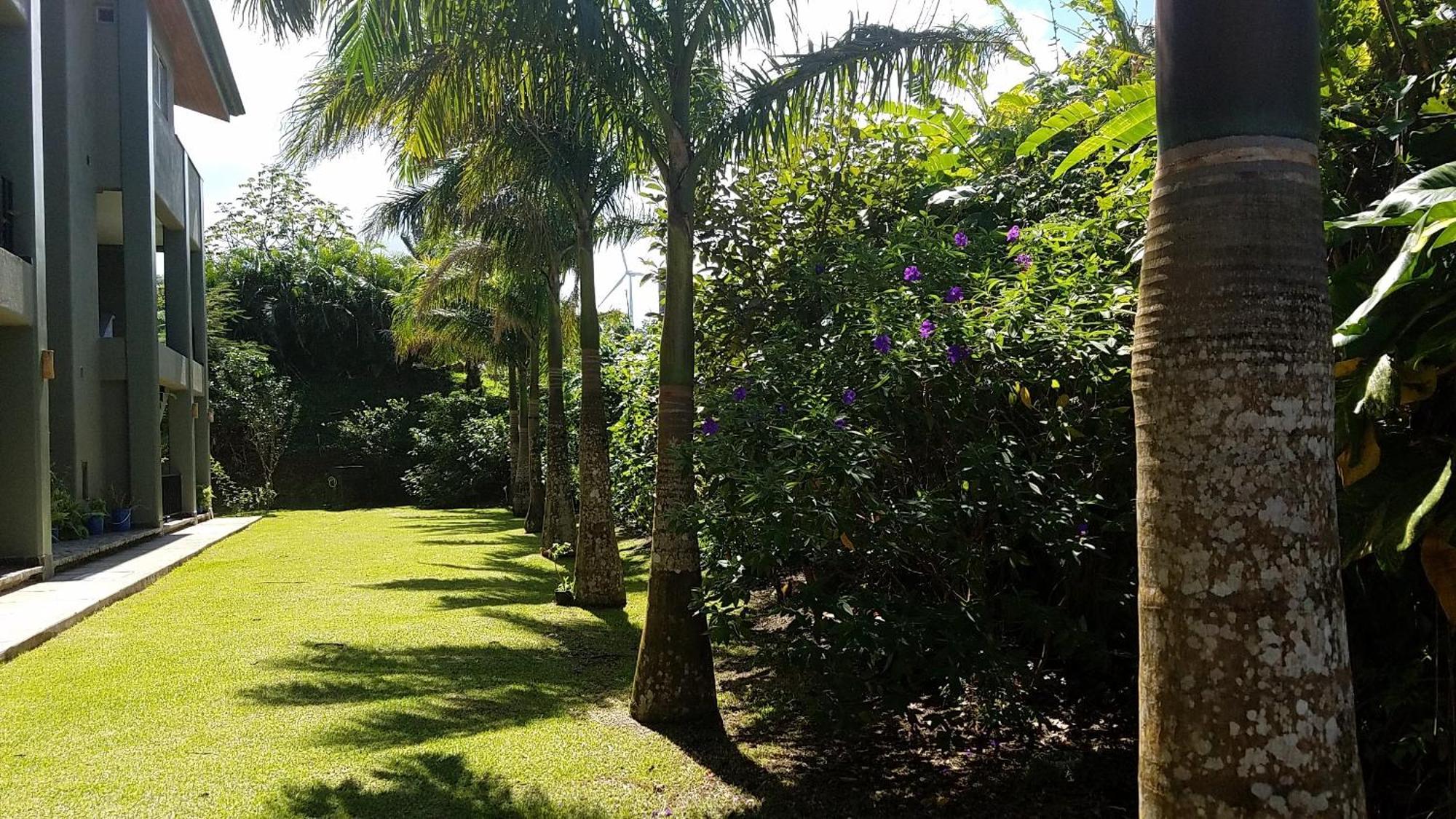 Lake Arenal Condos Naranjos Agrios Exterior photo