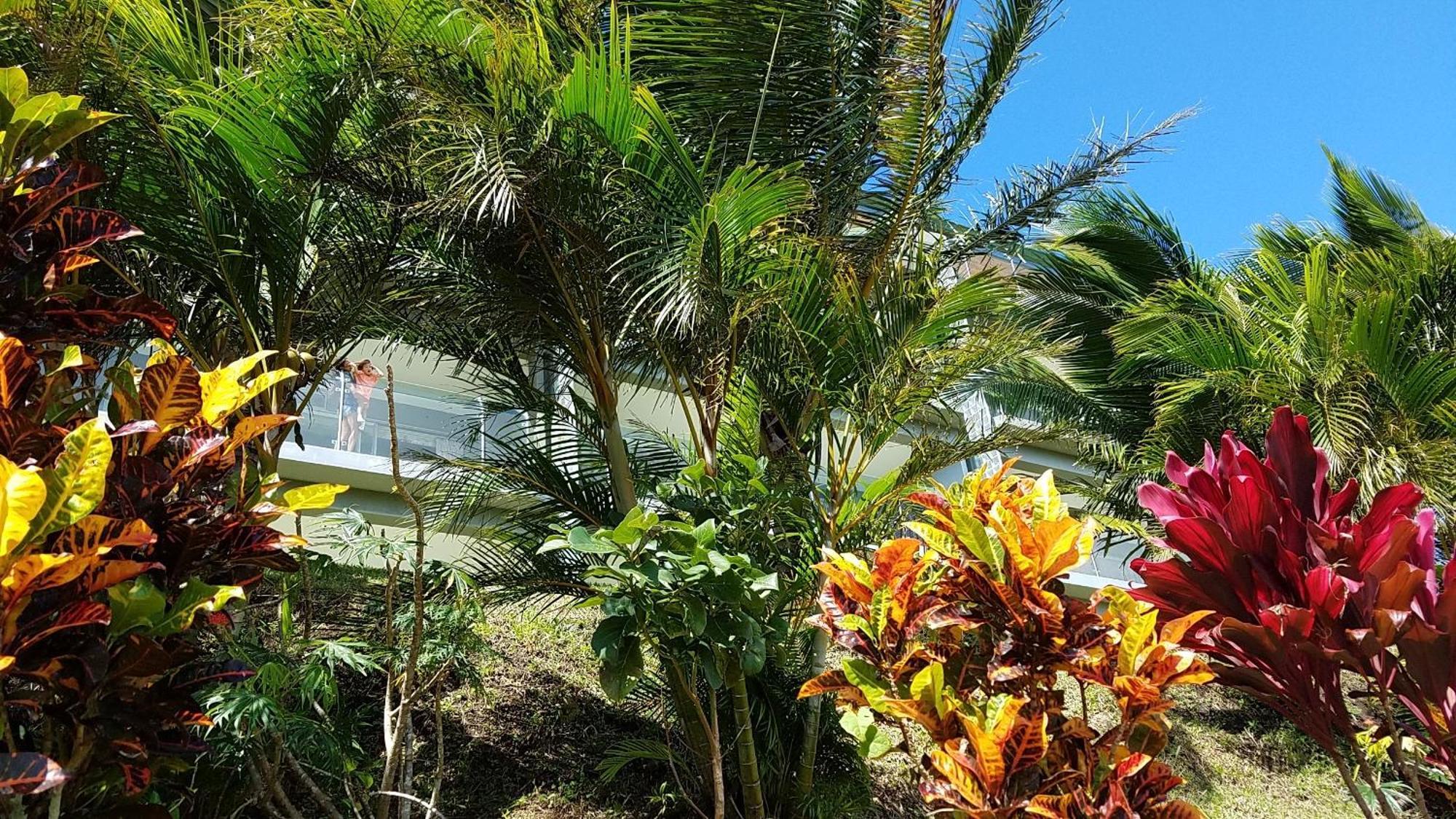 Lake Arenal Condos Naranjos Agrios Exterior photo